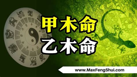 甲木命男|甲木男的命运如何 – 甲木男的性格剖析